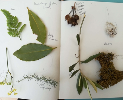 Valeria Reflective walk collage